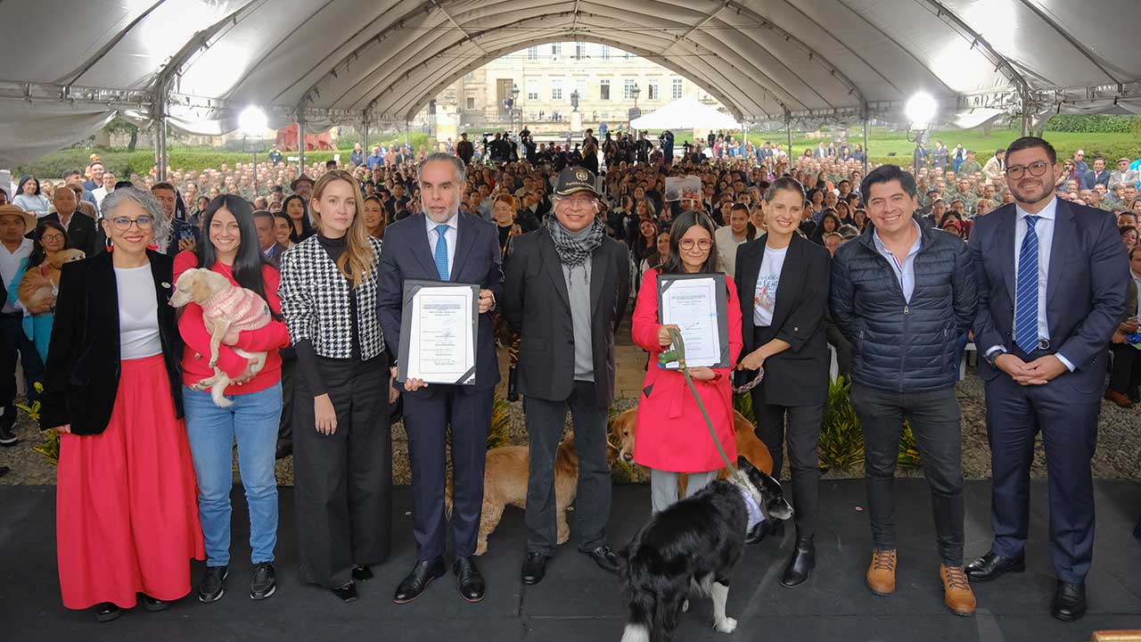 Imagen del artículo