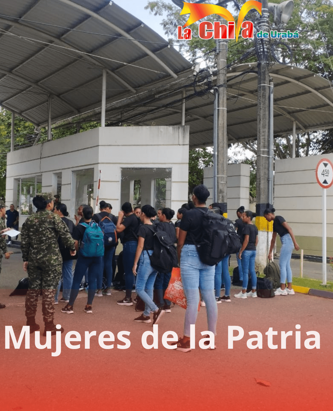 Imagen del artículo
