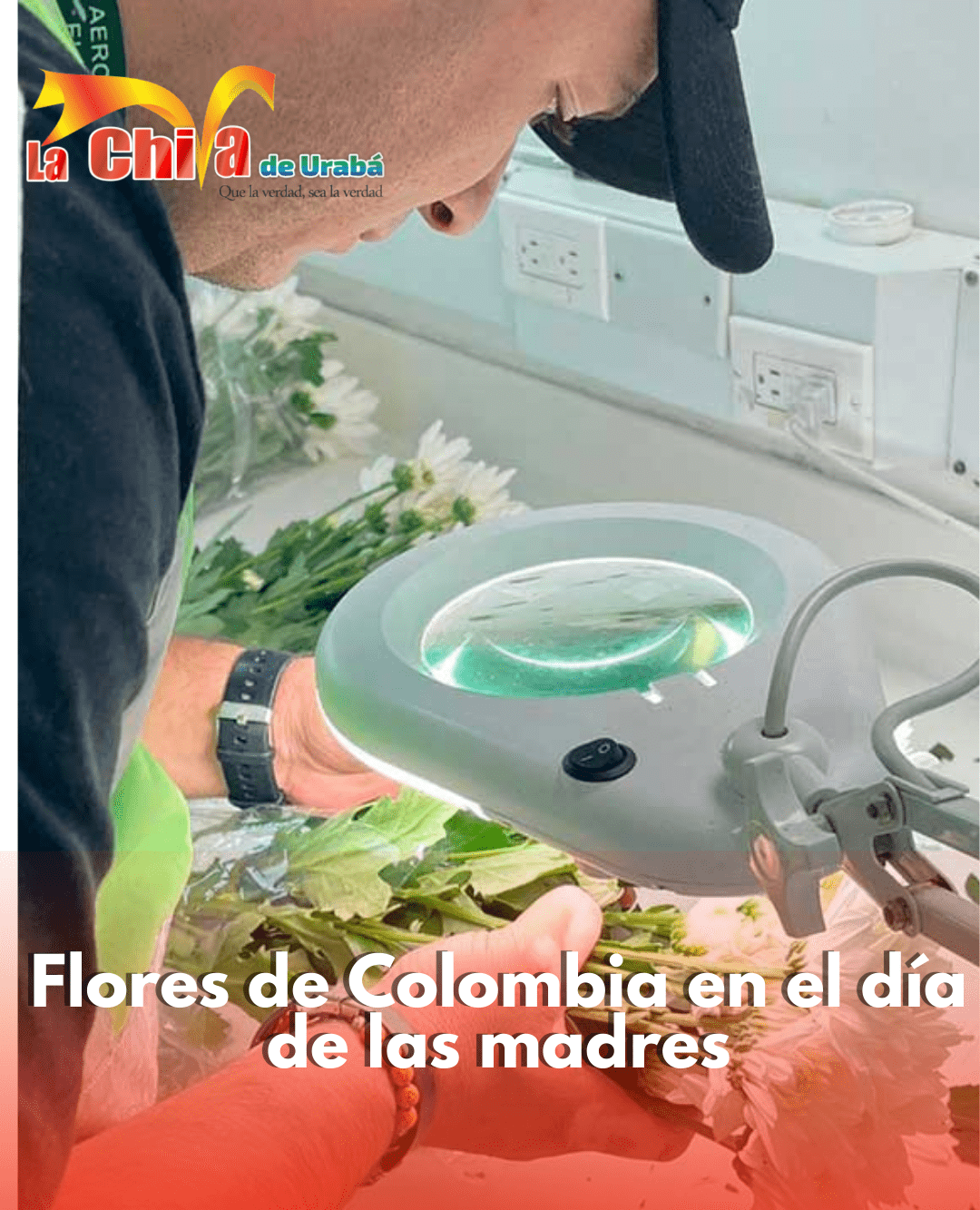 Por Día de la Madre, Colombia exportó por mar y agua 61.000 toneladas de flores