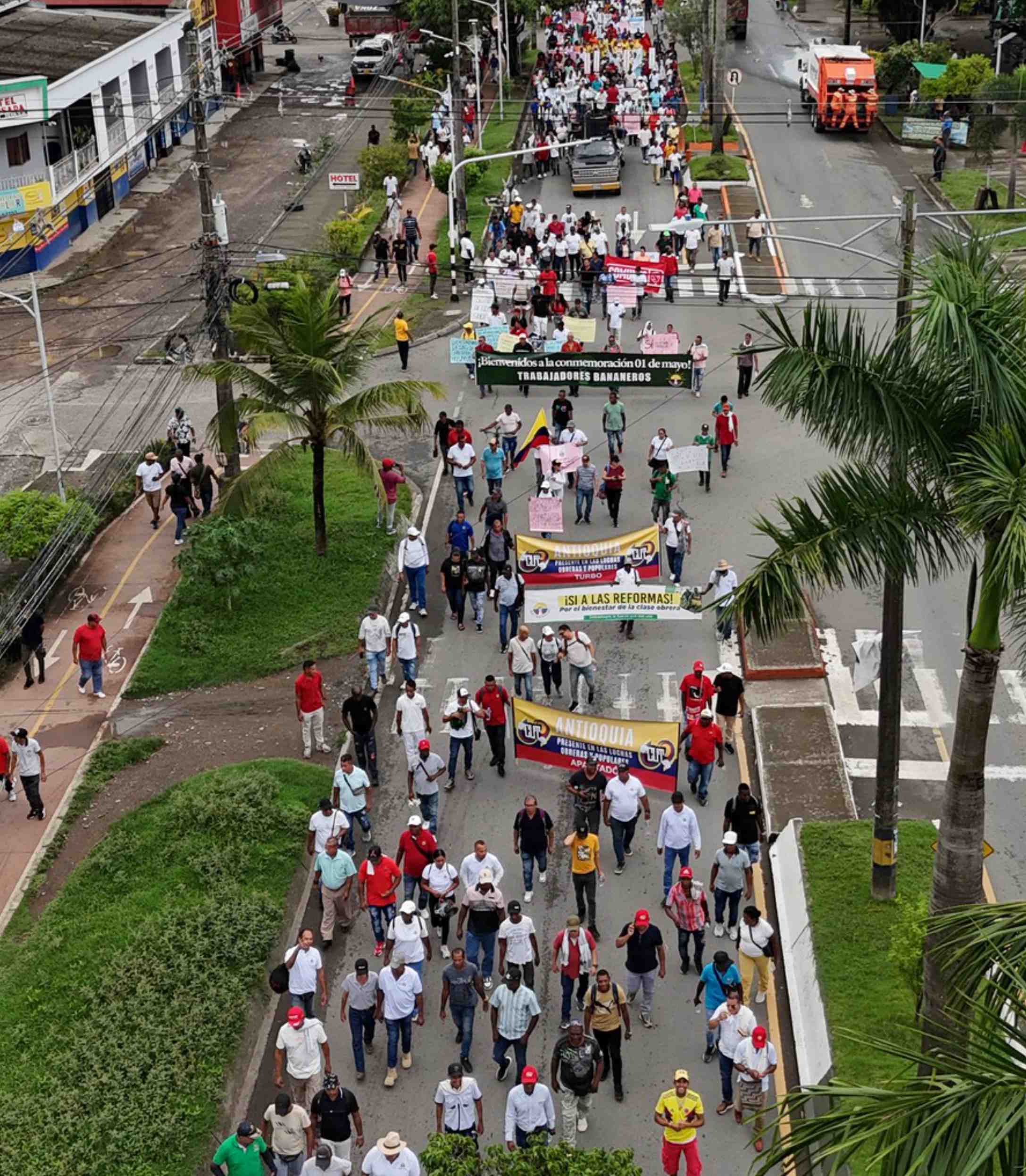 Imagen del artículo