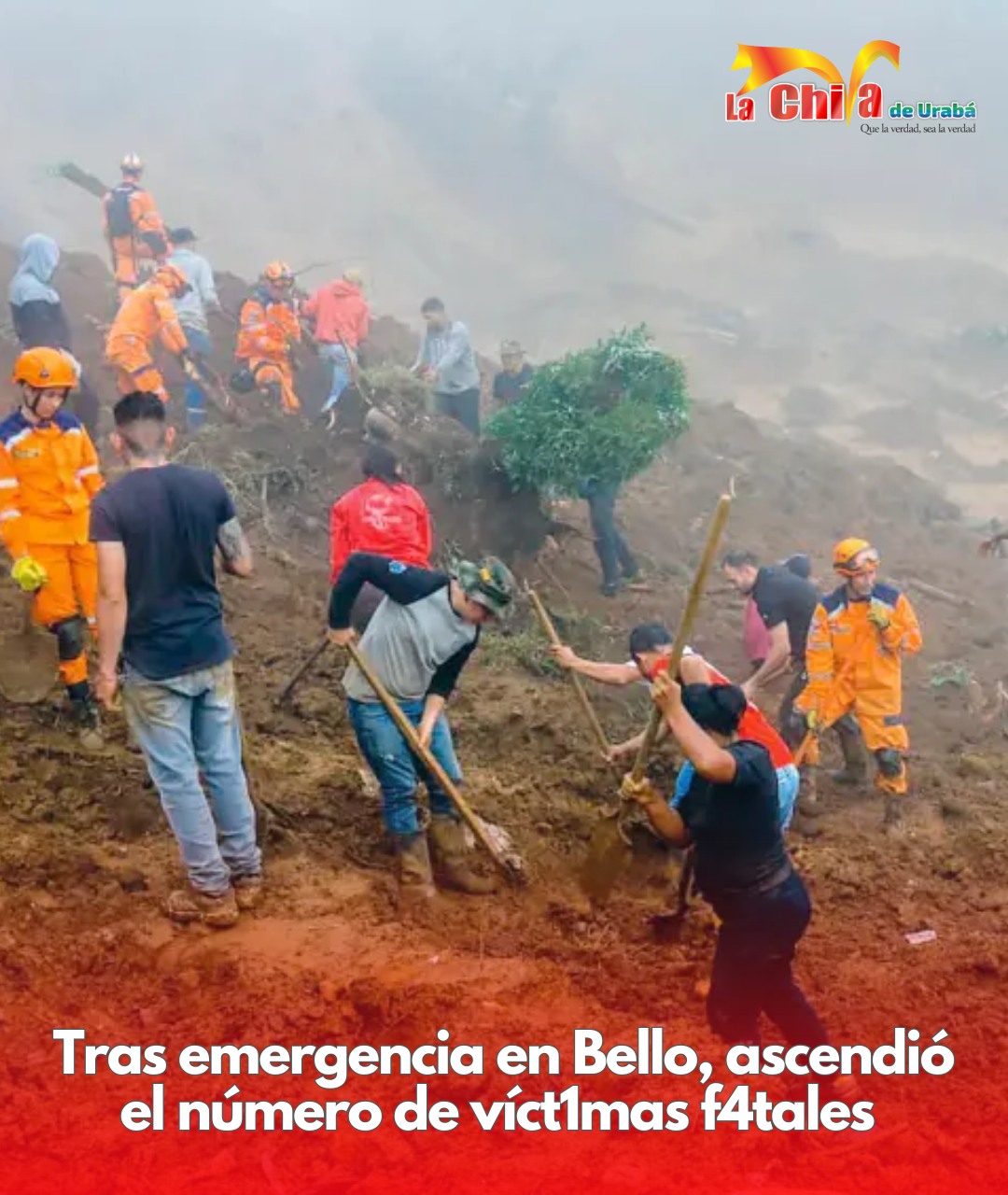 Imagen del artículo