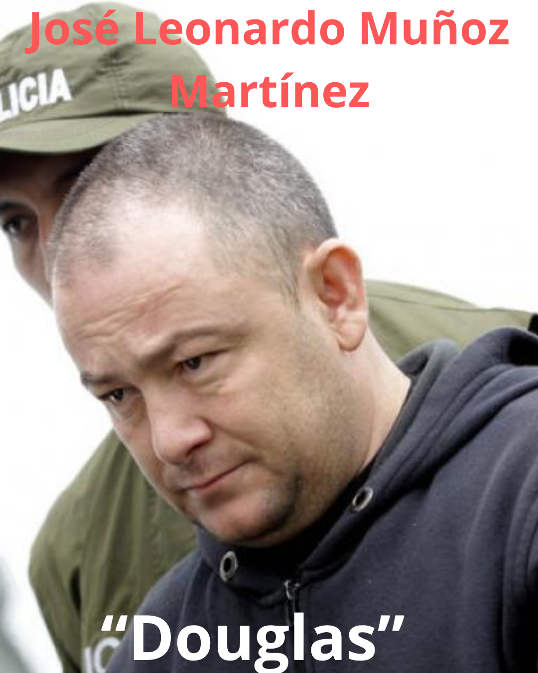 Imagen del artículo