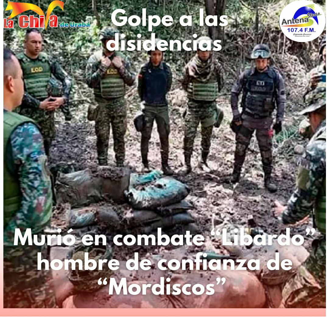 Cayó alias ‘Libardo’, jefe de disidencias de ‘Mordisco’, entre Cauca y Huila