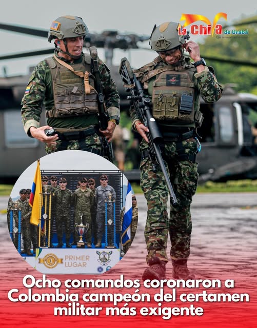 Imagen del artículo