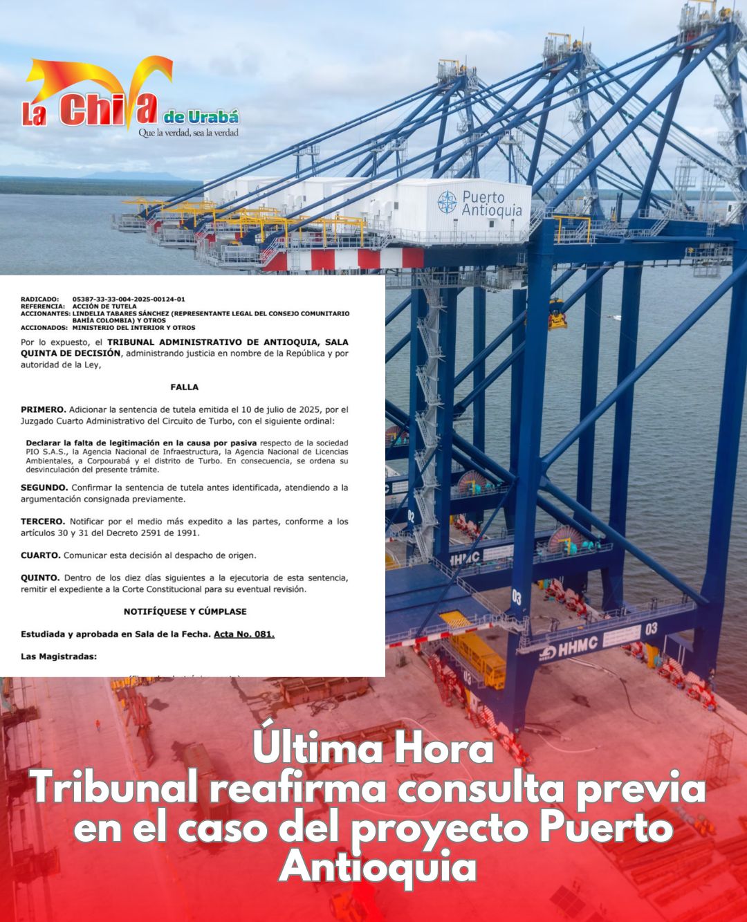 Imagen del artículo