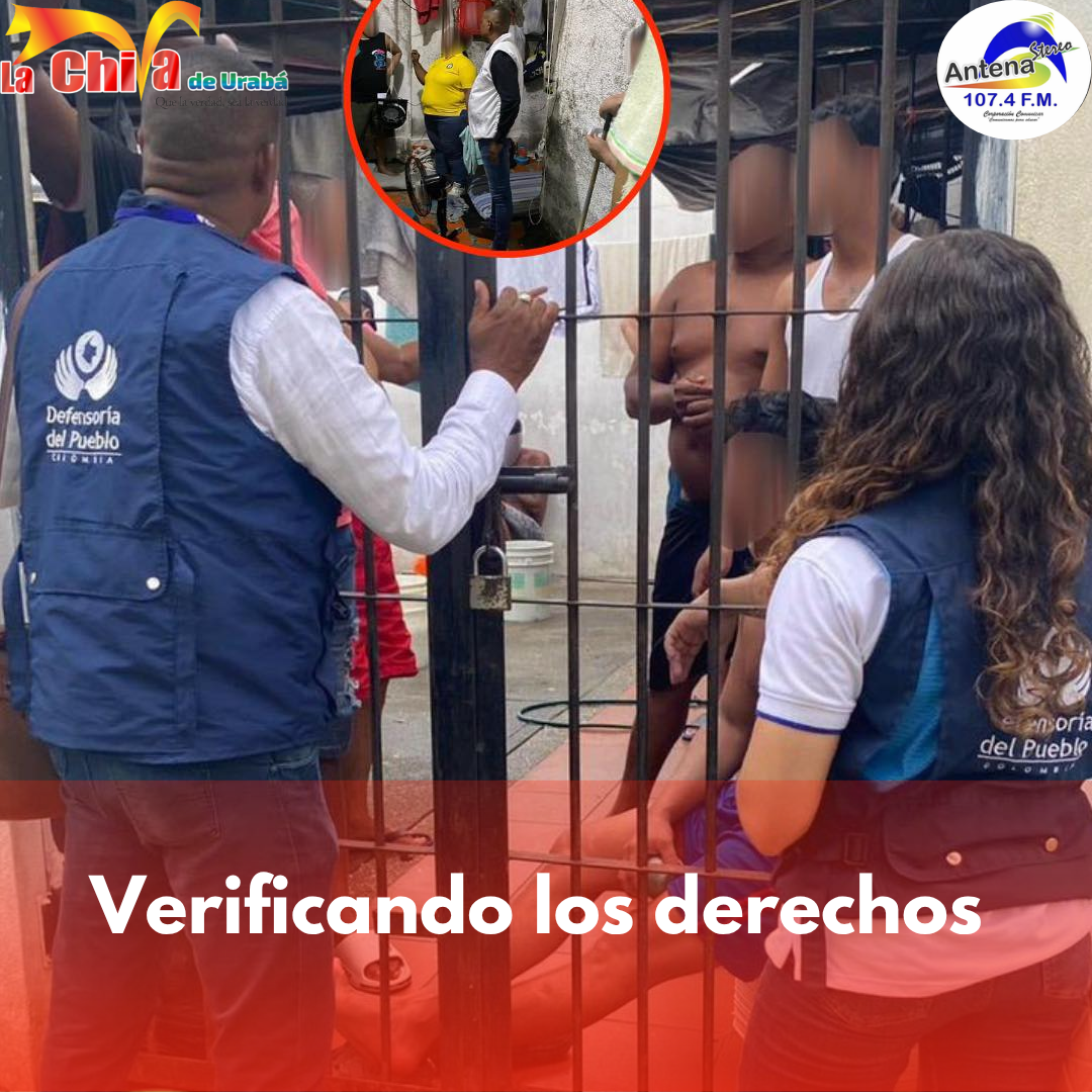 Imagen del artículo
