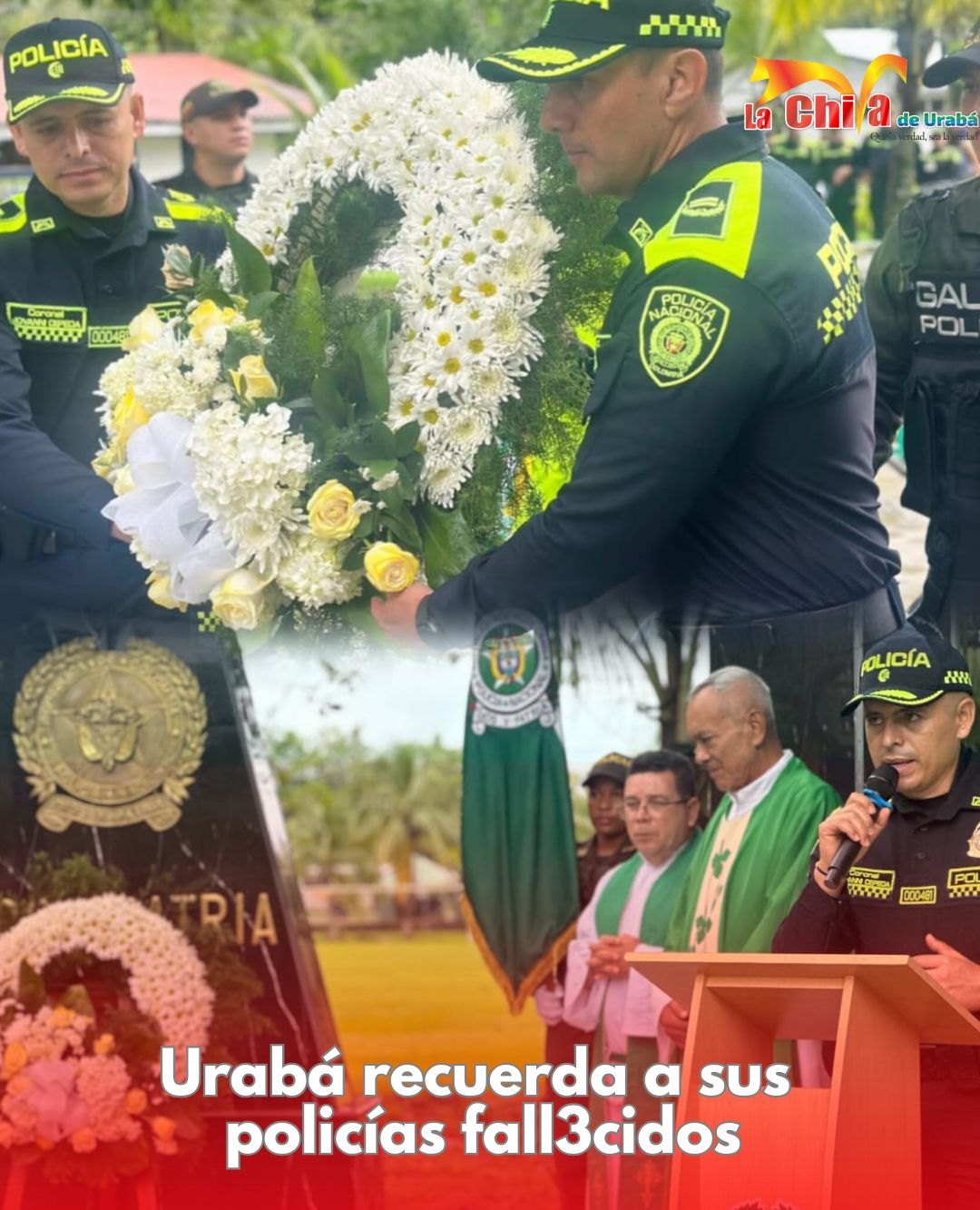 Imagen del artículo