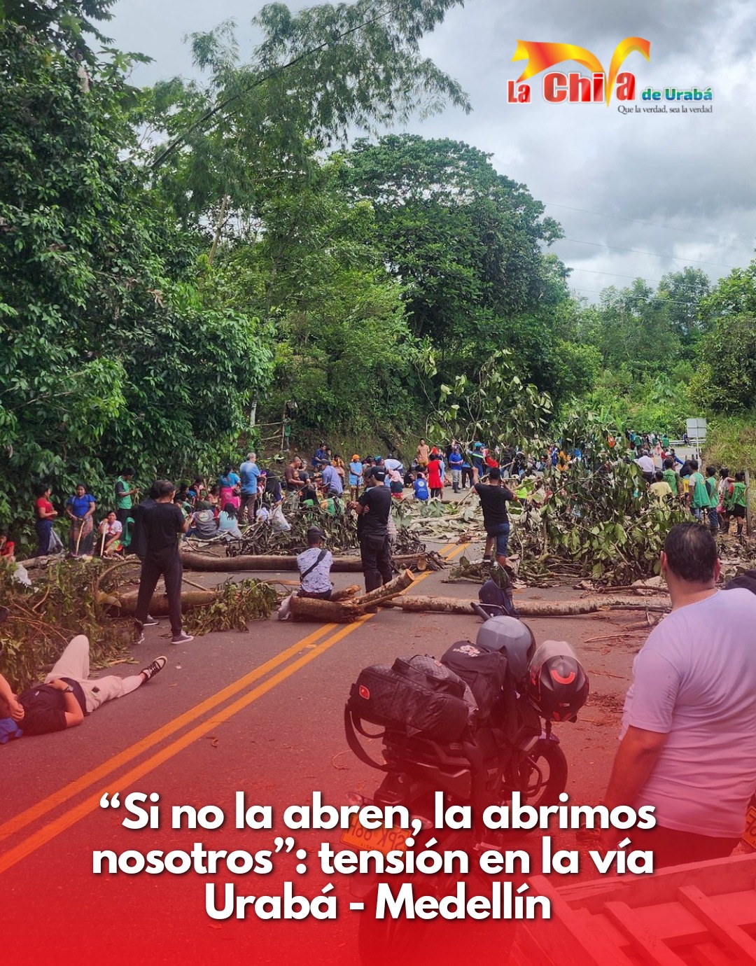 Imagen del artículo
