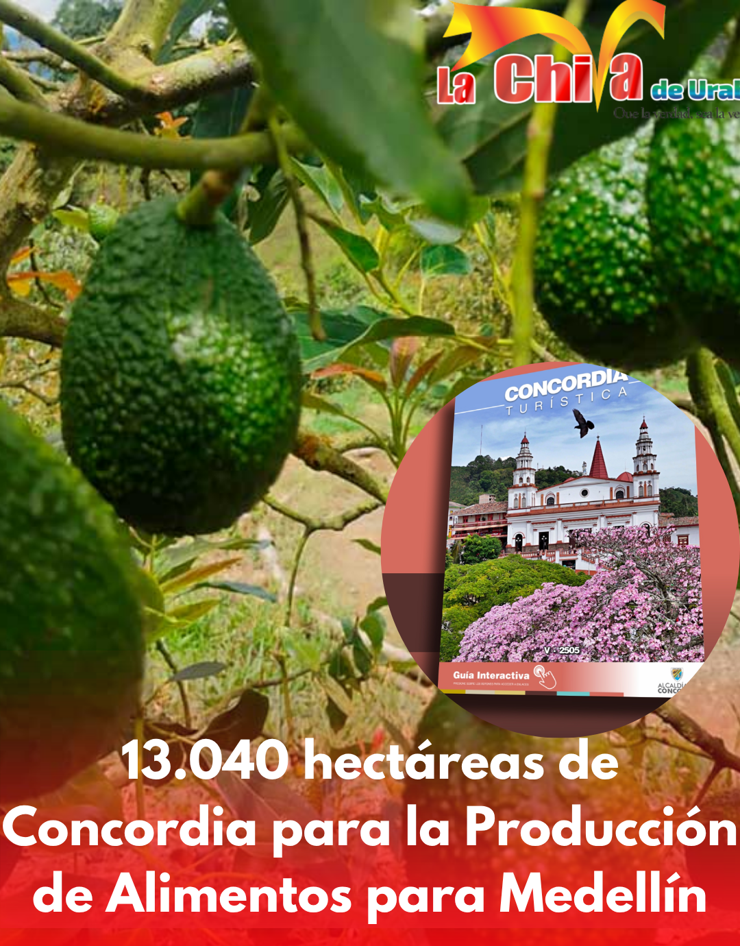 13.040 hectáreas de Concordia (Antioquia); Área de Protección para la Producción de Alimentos