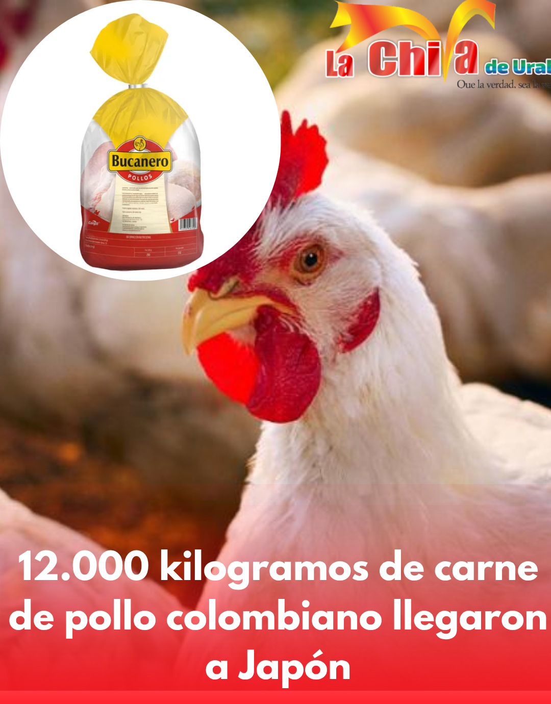 Japón por primera vez está comiendo pollo de Colombia