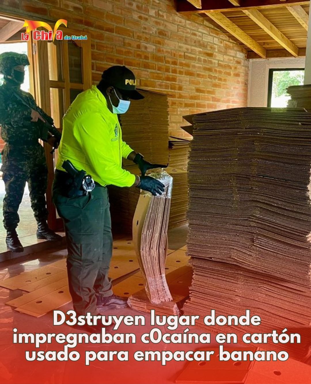Hallaron y destruyeron complejo para producción de cocaína en San Luis