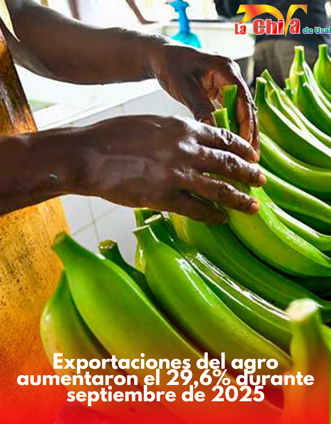Exportaciones del agro aumentaron el 29,6% durante septiembre de 2025