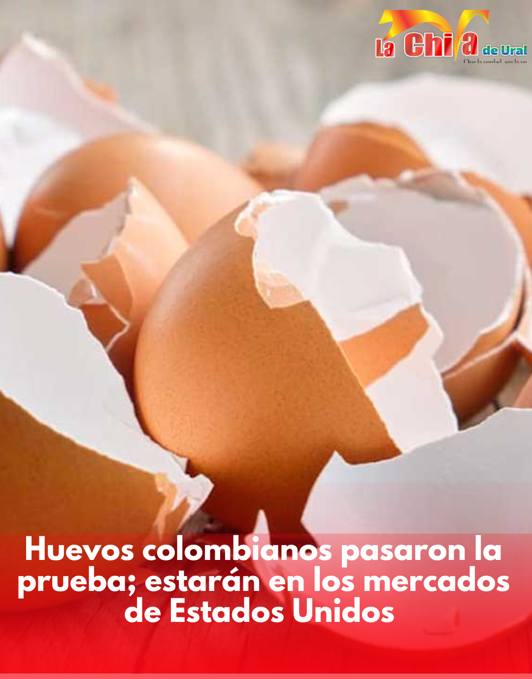 Colombia logró acceso sanitario para exportar huevos a Estados Unidos