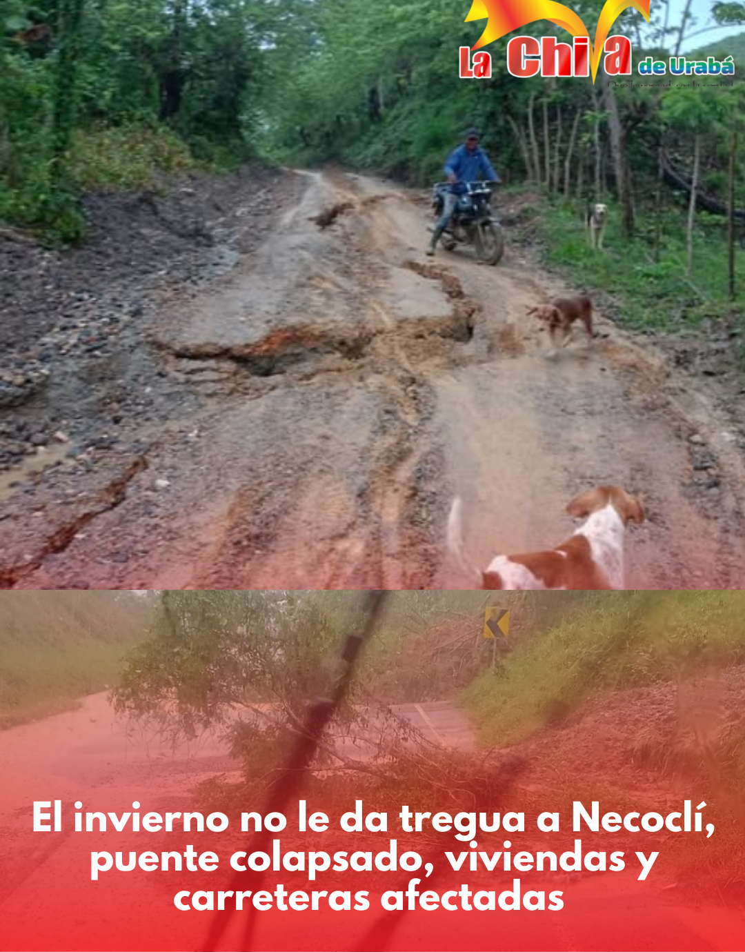 ¡Eso es mucho llover! Emergencias en zona rural de Necoclí