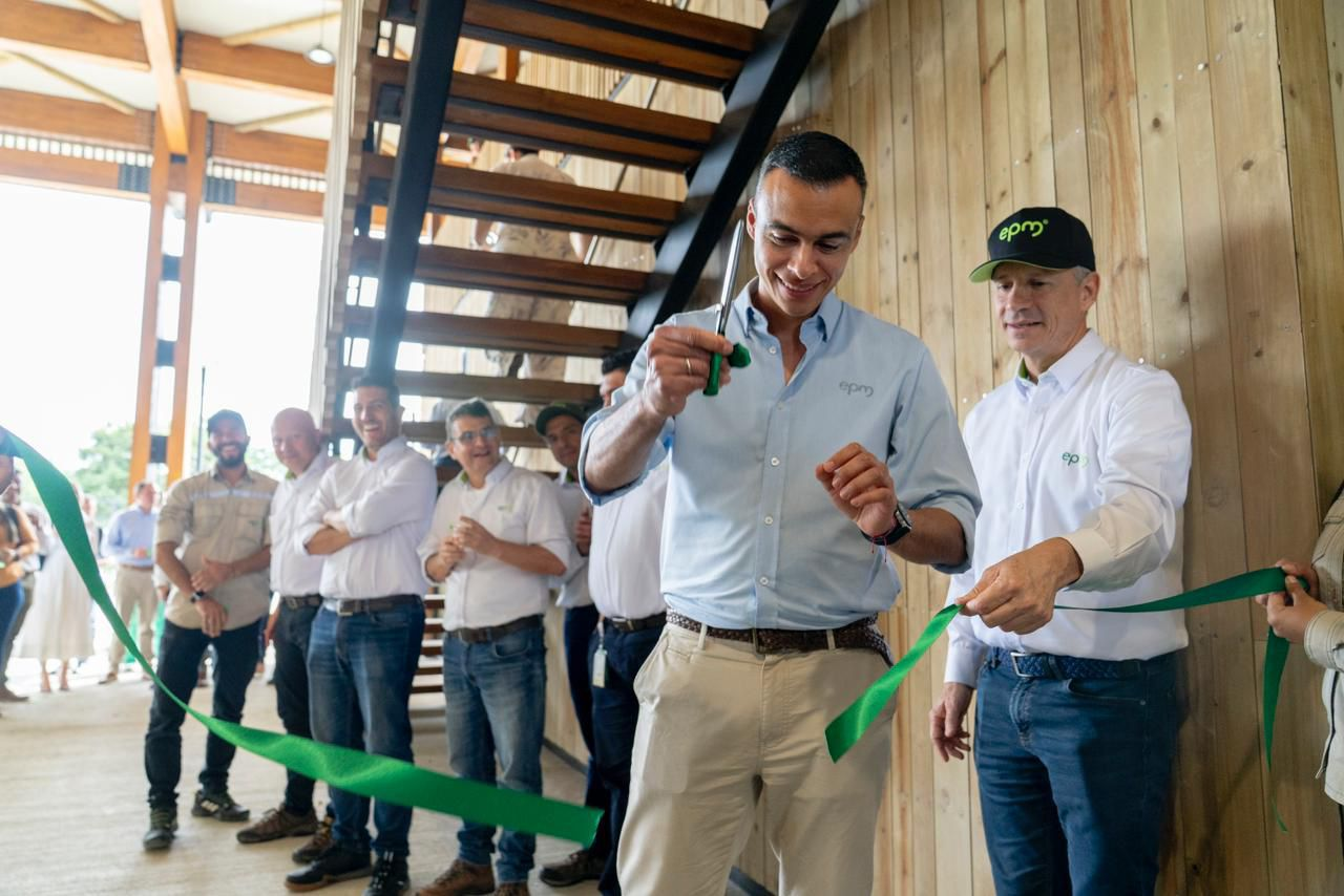 Imagen del artículo