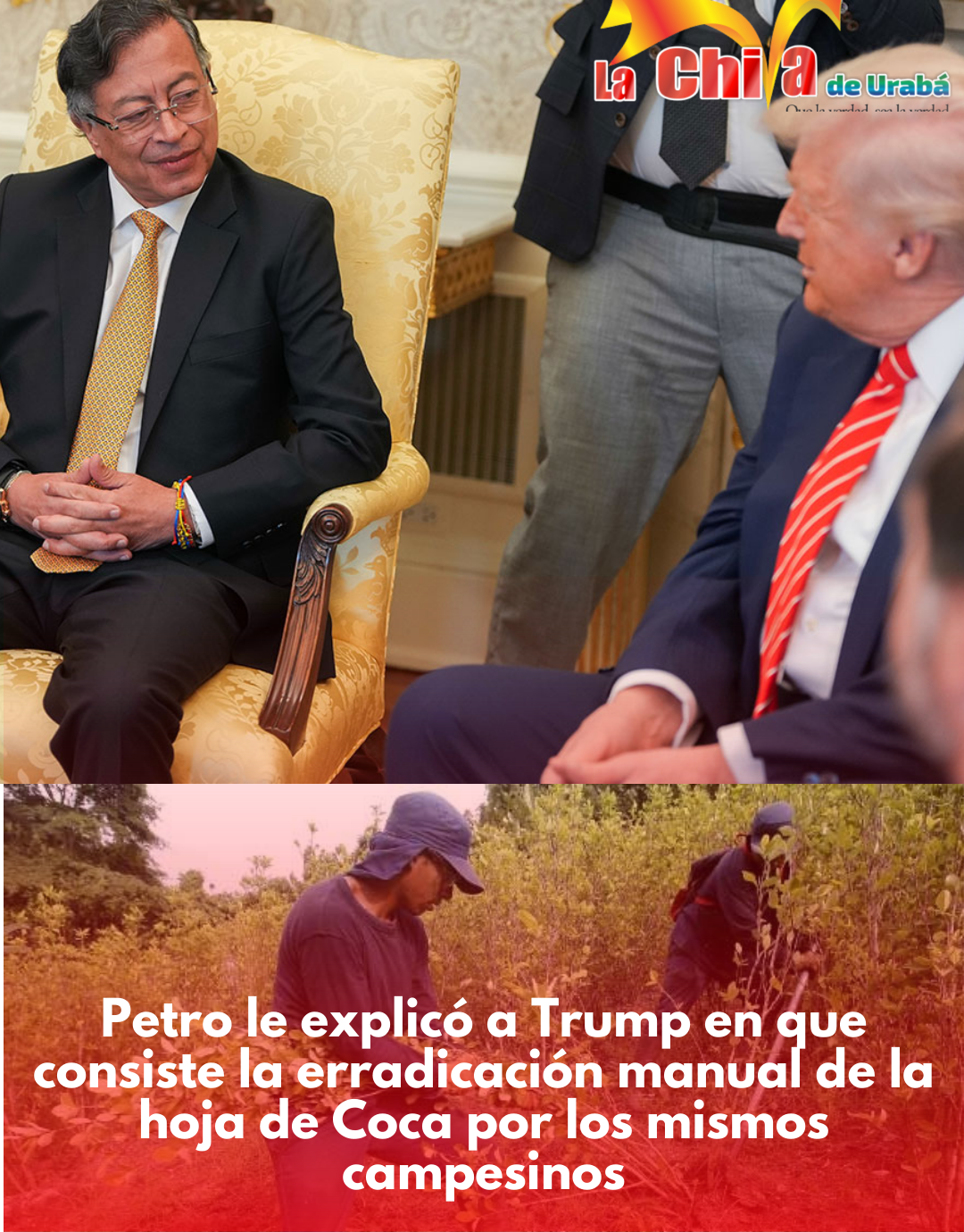 Arrancar de raíz la mata, la fórmula para erradicar los cultivos de coca: presidente Petro