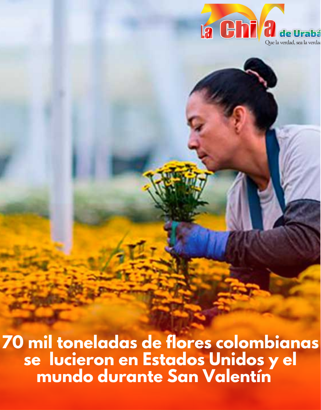 Colombia exportó 70.000 toneladas de flores en San Valentín
