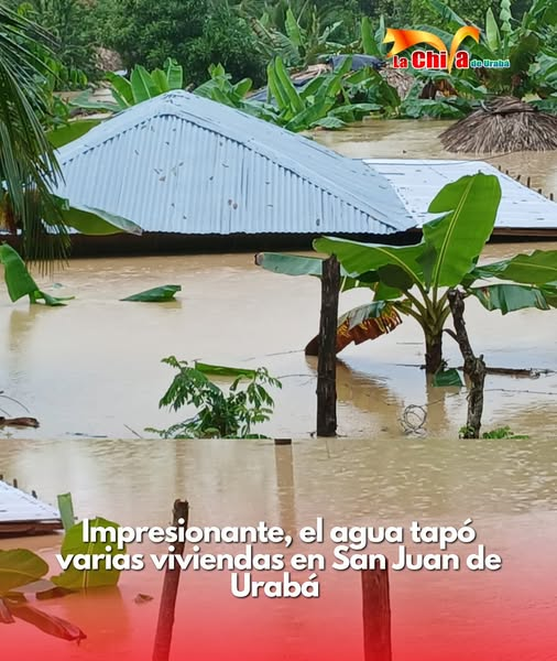 Imagen del artículo
