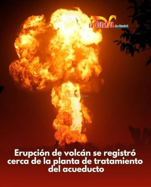Imagen del artículo