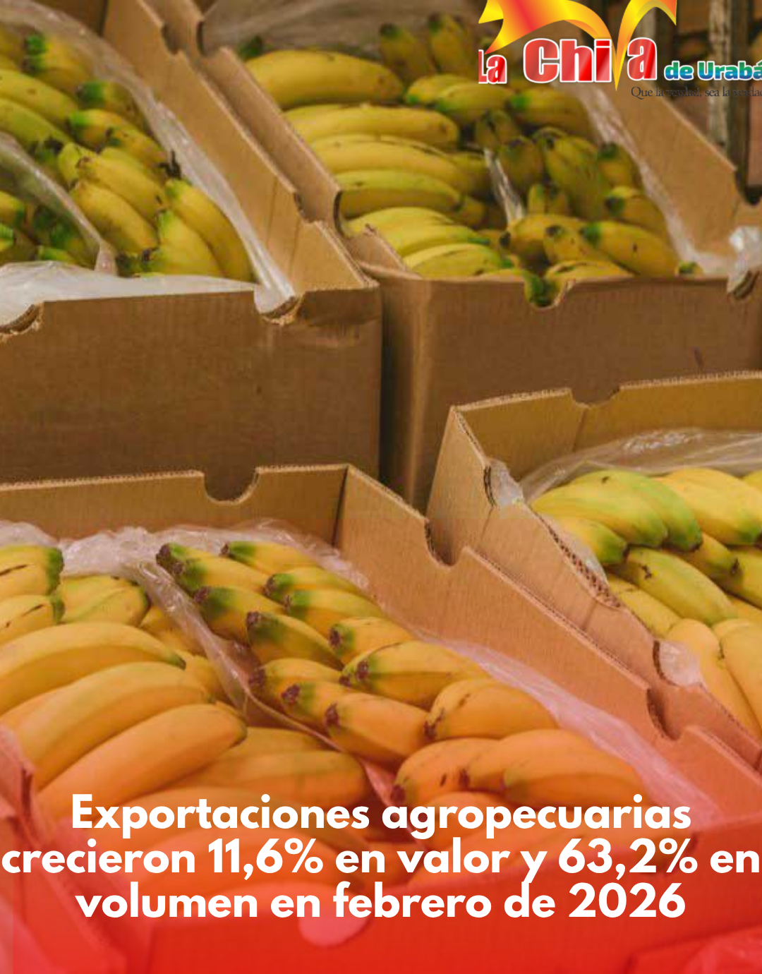 Exportaciones agropecuarias crecieron 11,6% en valor y 63,2% en volumen en febrero de 2026