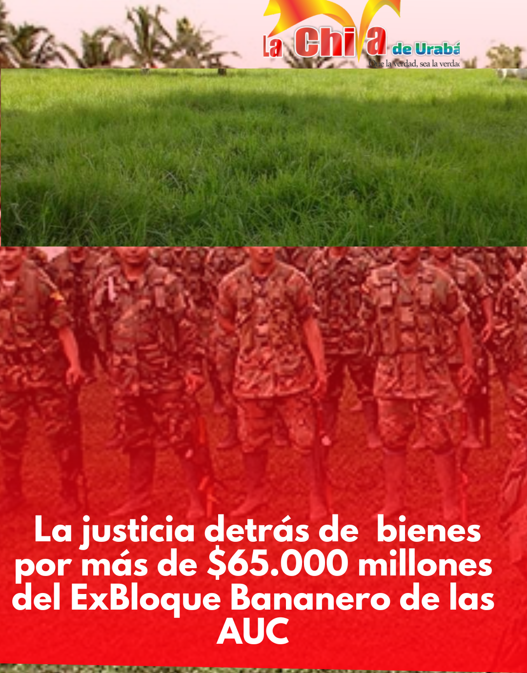 Afectaron bienes por más de $65.000 millones del ExBloque Bananero de las AUC