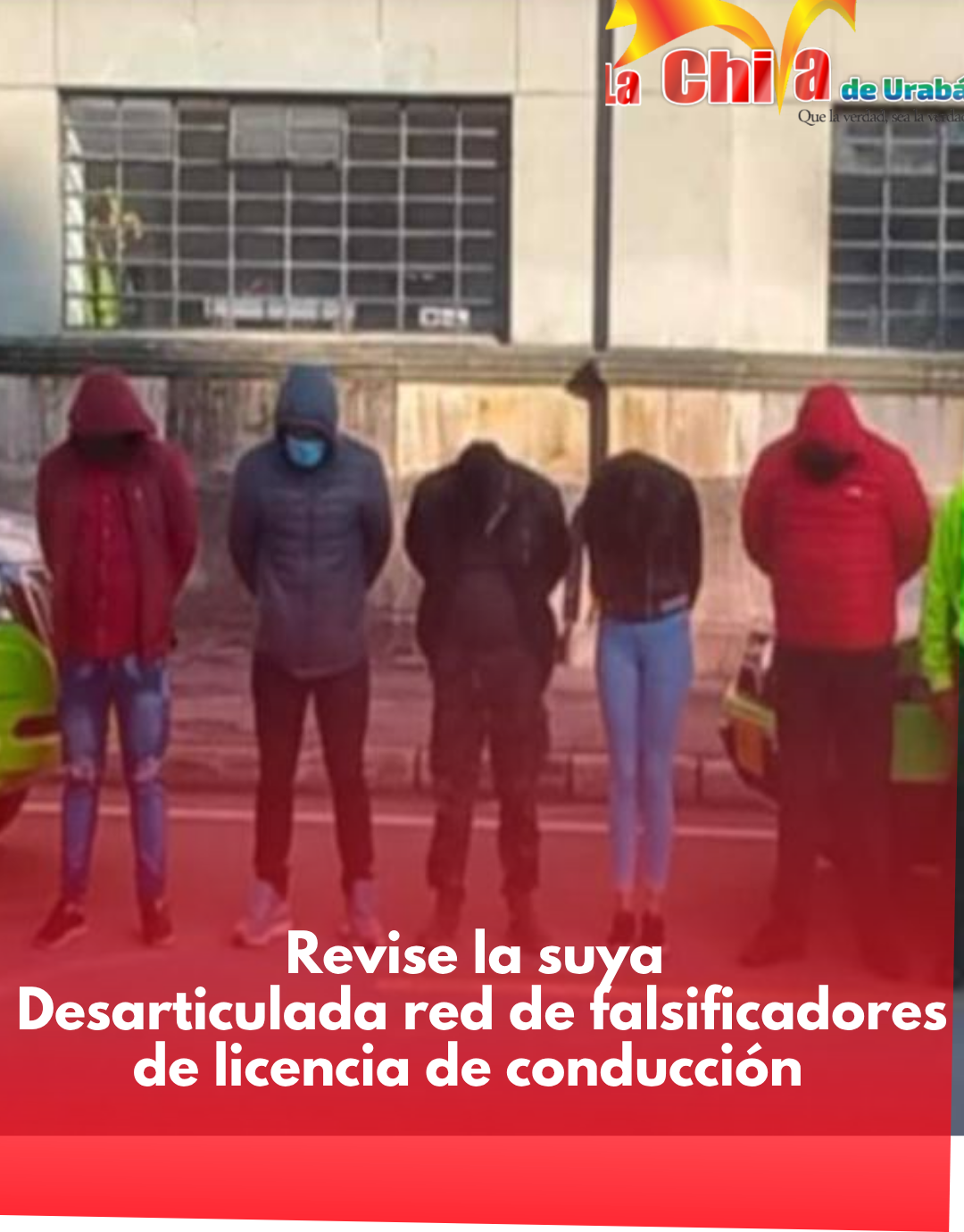 Cayó  red señalada de expedir irregularmente certificados para licencias de conducción
