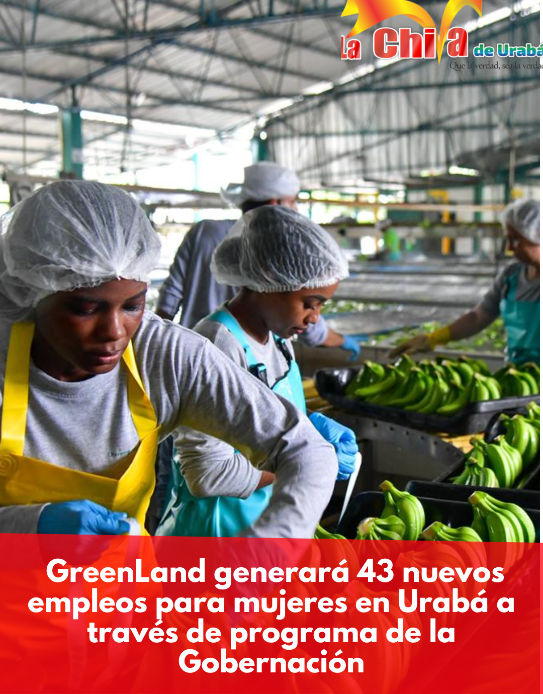GreenLand generará 43 nuevos empleos para mujeres en Urabá