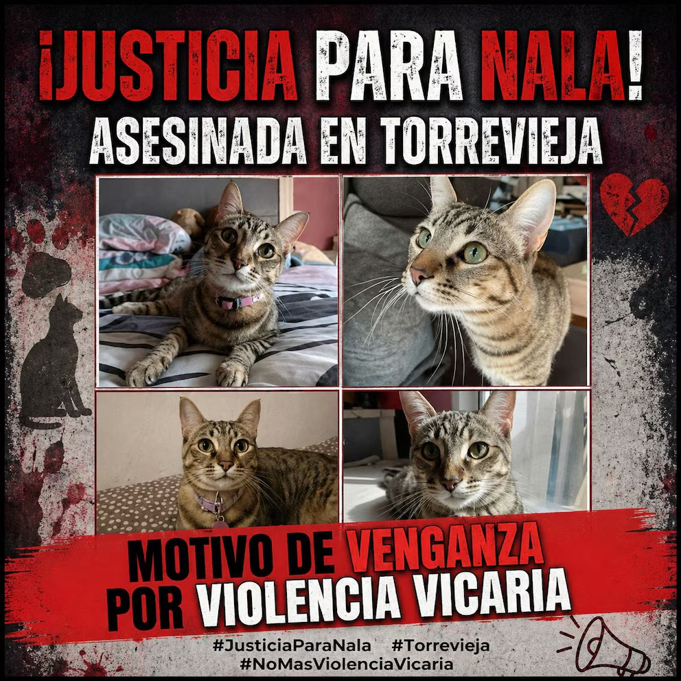 Imagen del artículo