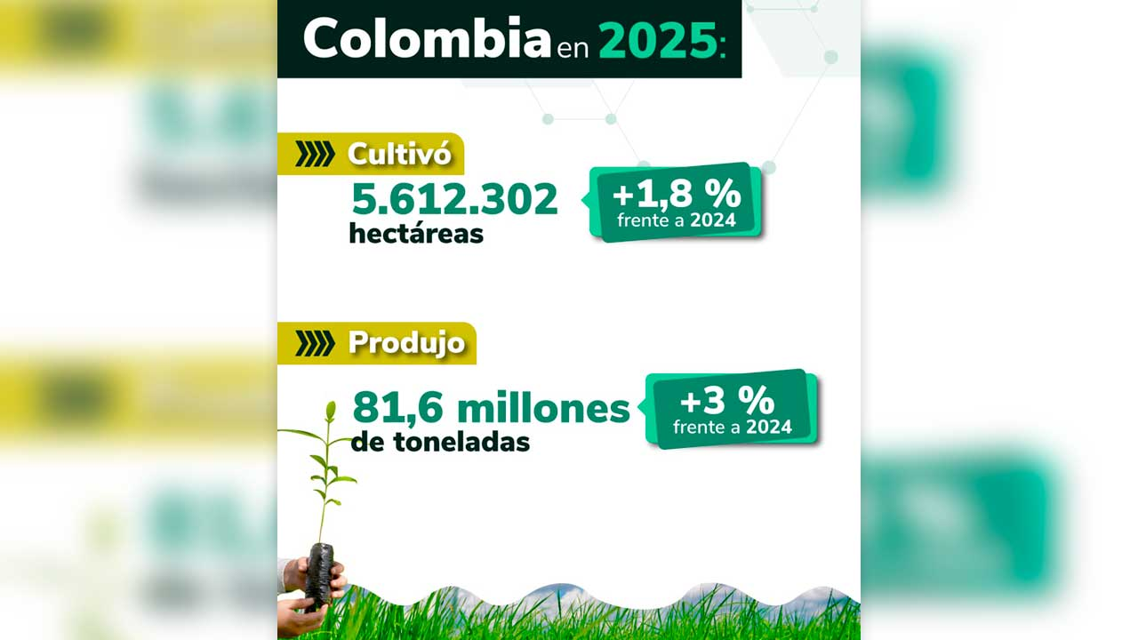 Imagen del artículo