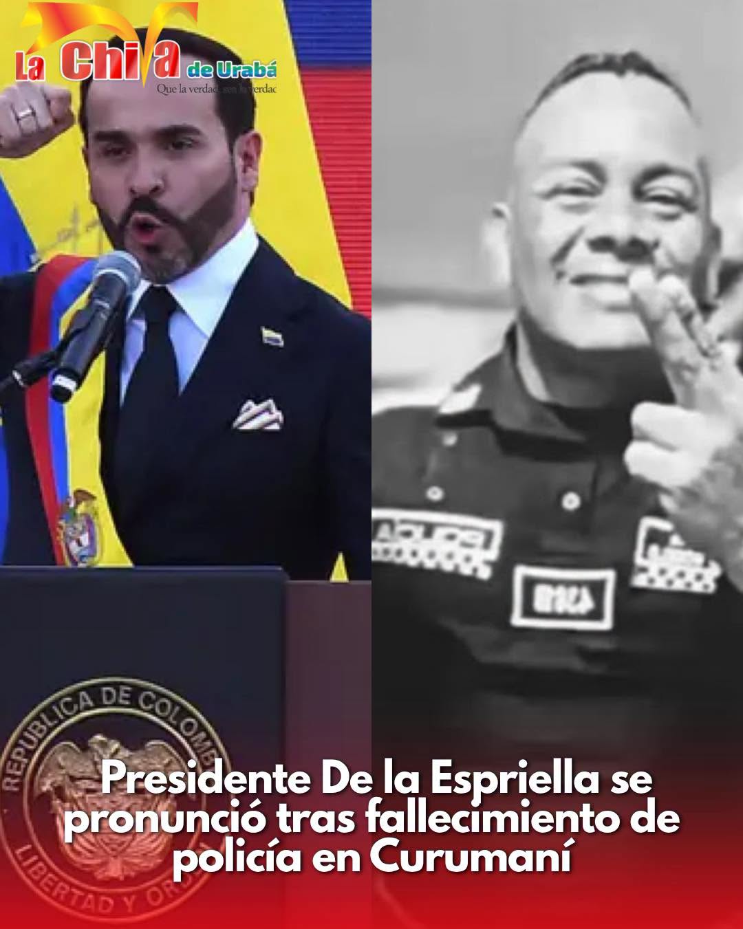 Imagen del artículo
